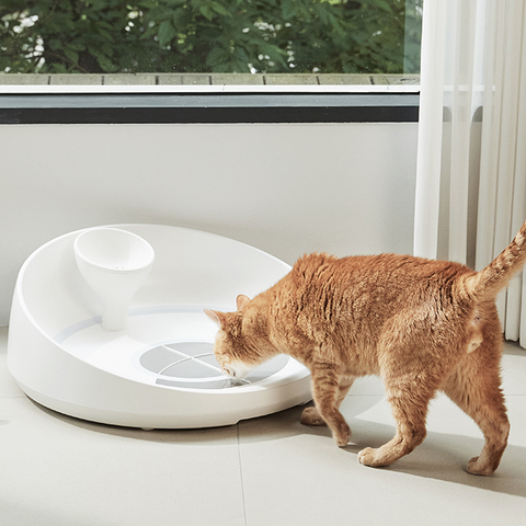 INPET 🐈 - Eat Smart. Track Health. 😻 Prevent Problems..