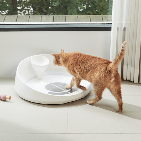 INPET 🐈 - Eat Smart. Track Health. 😻 Prevent Problems..
