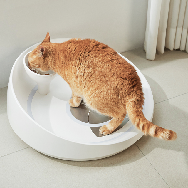 INPET 🐈 - Eat Smart. Track Health. 😻 Prevent Problems..